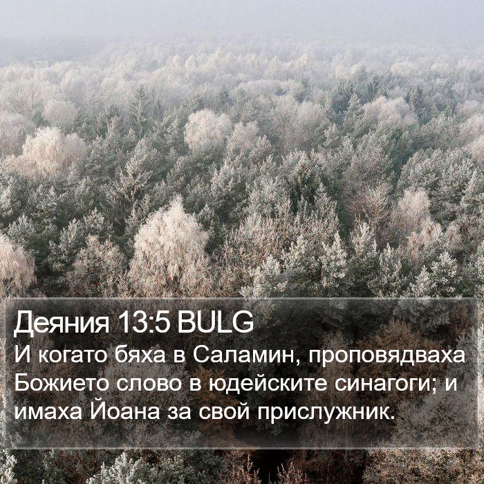 Деяния 13:5 BULG Bible Study