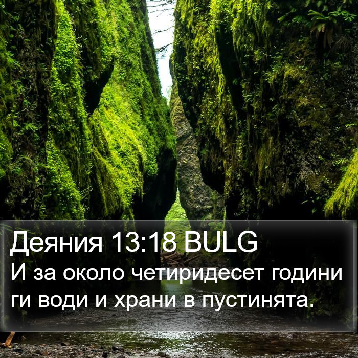 Деяния 13:18 BULG Bible Study