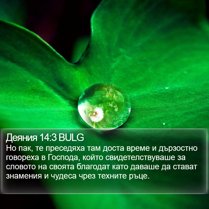 Деяния 14:3 BULG Bible Study