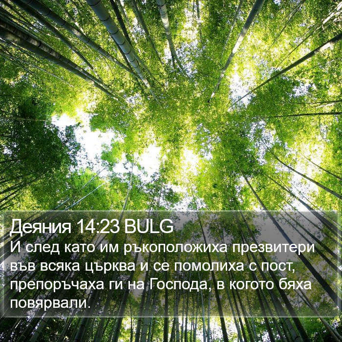 Деяния 14:23 BULG Bible Study