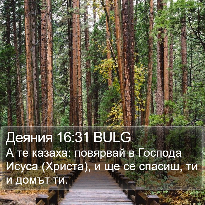 Деяния 16:31 BULG Bible Study