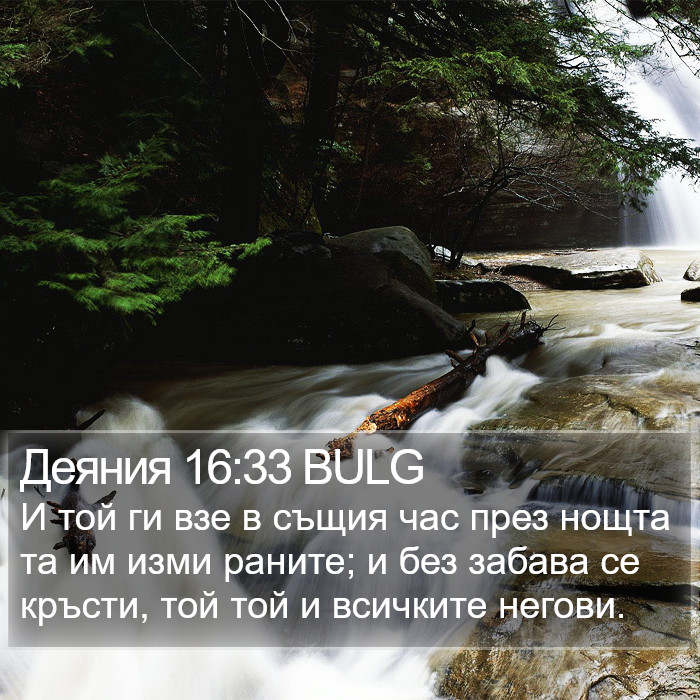 Деяния 16:33 BULG Bible Study