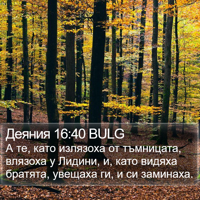 Деяния 16:40 BULG Bible Study