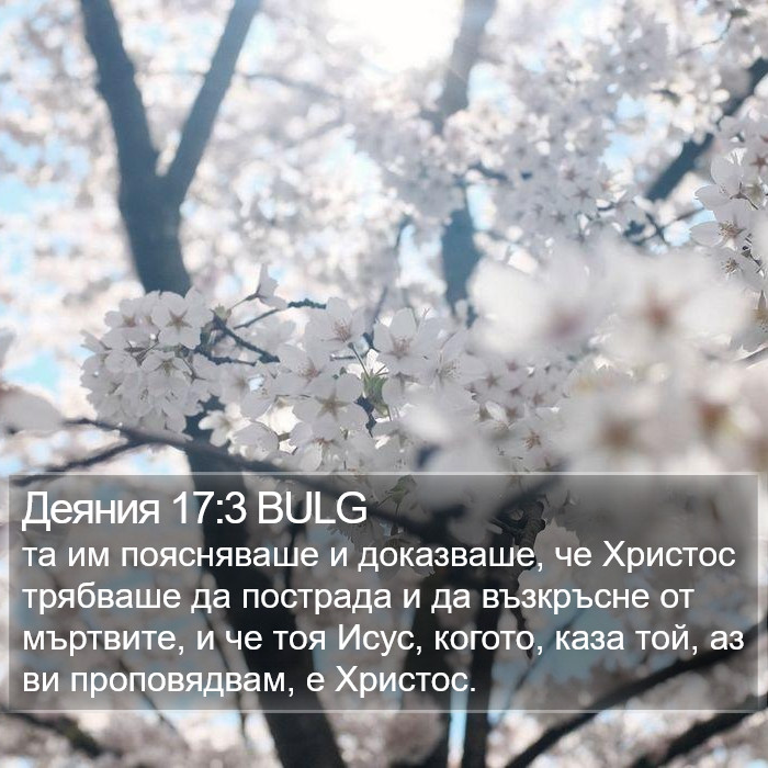 Деяния 17:3 BULG Bible Study