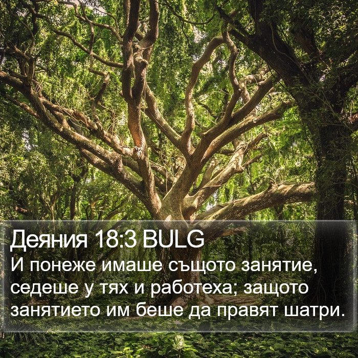 Деяния 18:3 BULG Bible Study