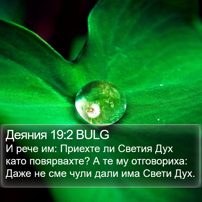 Деяния 19:2 BULG Bible Study