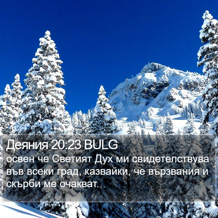 Деяния 20:23 BULG Bible Study