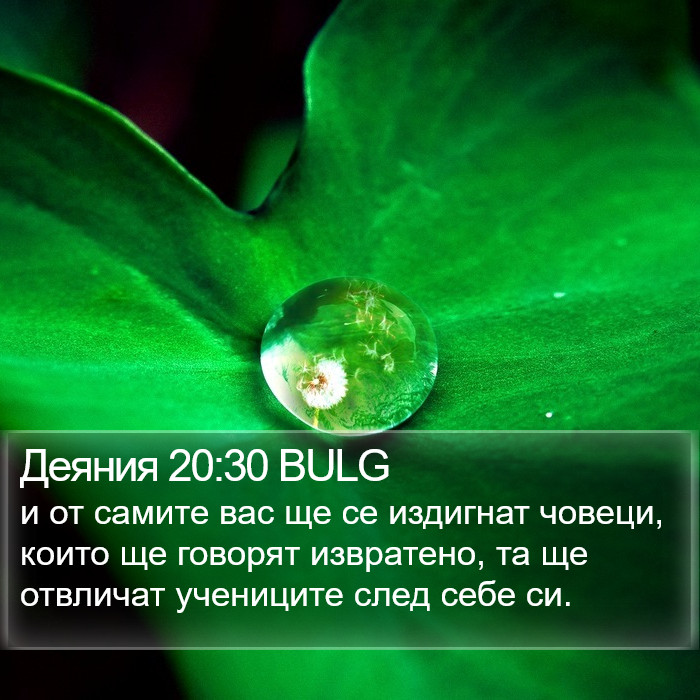 Деяния 20:30 BULG Bible Study