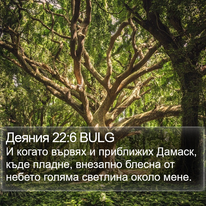 Деяния 22:6 BULG Bible Study