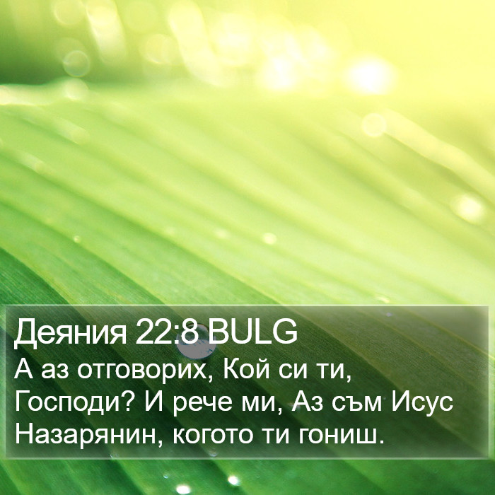 Деяния 22:8 BULG Bible Study