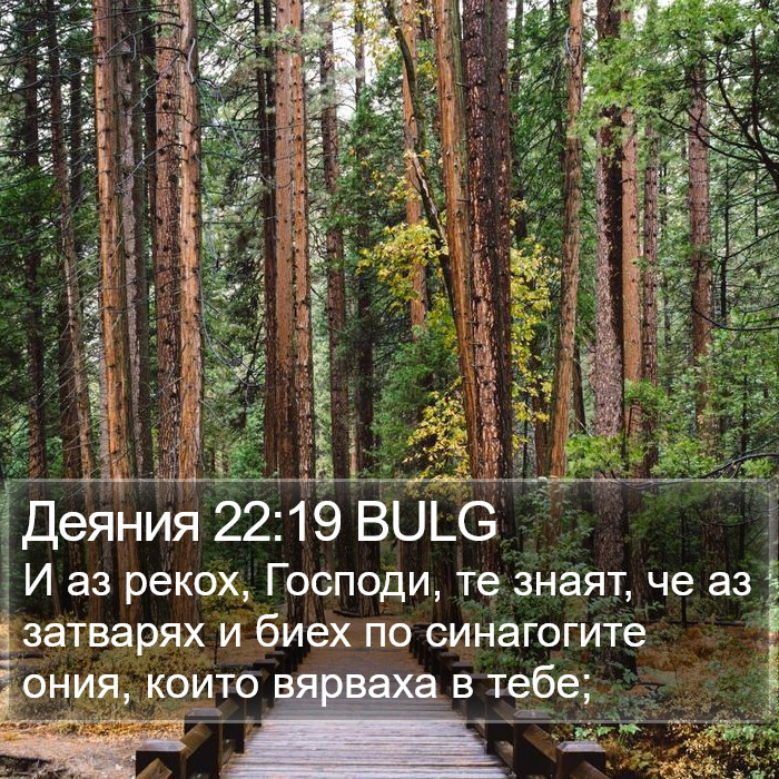 Деяния 22:19 BULG Bible Study