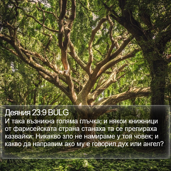 Деяния 23:9 BULG Bible Study