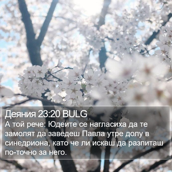 Деяния 23:20 BULG Bible Study