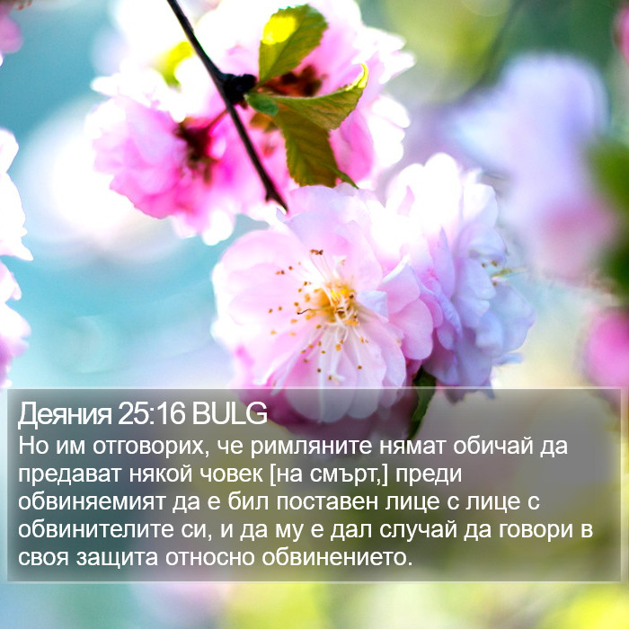 Деяния 25:16 BULG Bible Study