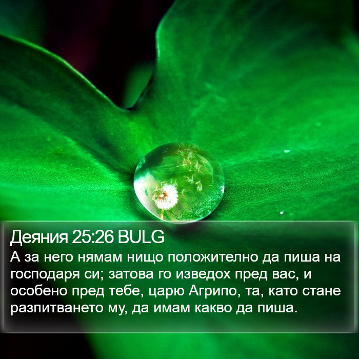 Деяния 25:26 BULG Bible Study