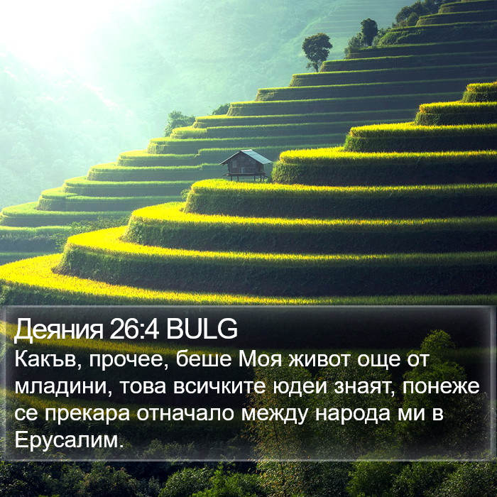 Деяния 26:4 BULG Bible Study