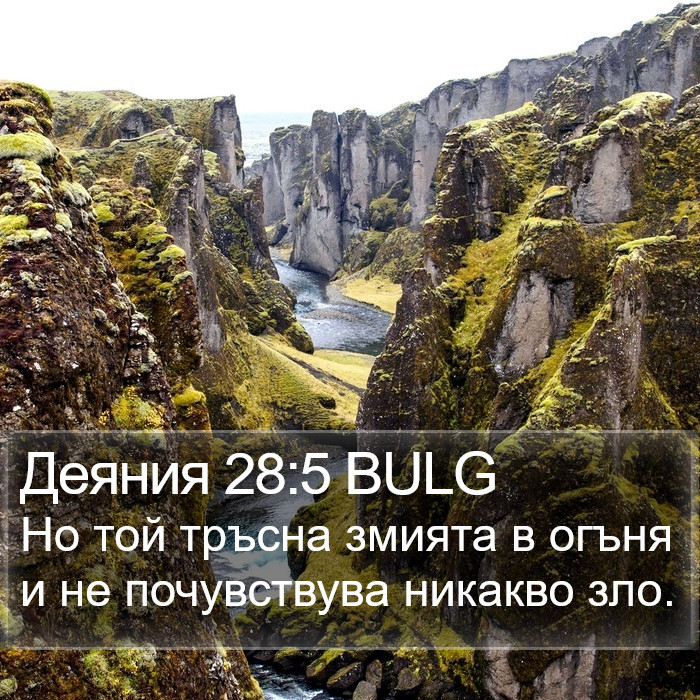 Деяния 28:5 BULG Bible Study