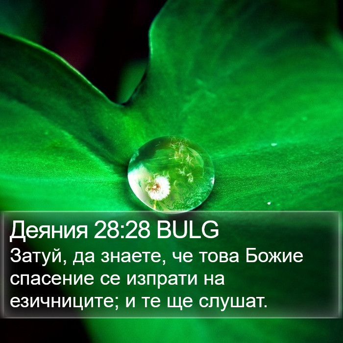 Деяния 28:28 BULG Bible Study