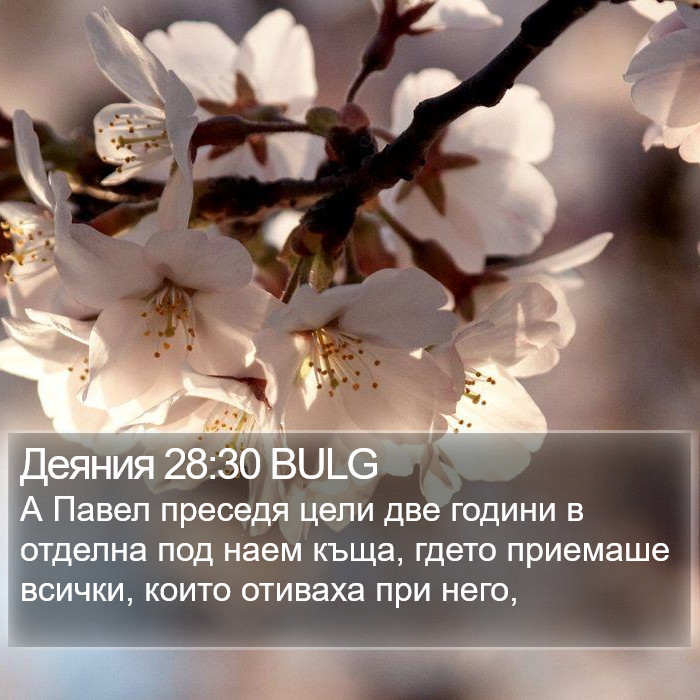 Деяния 28:30 BULG Bible Study