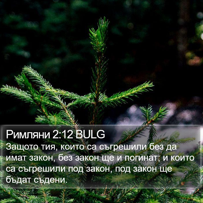 Римляни 2:12 BULG Bible Study