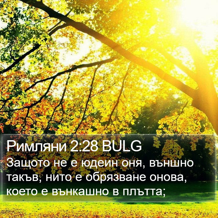 Римляни 2:28 BULG Bible Study