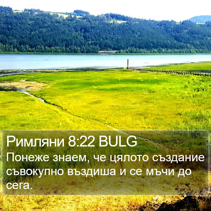 Римляни 8:22 BULG Bible Study