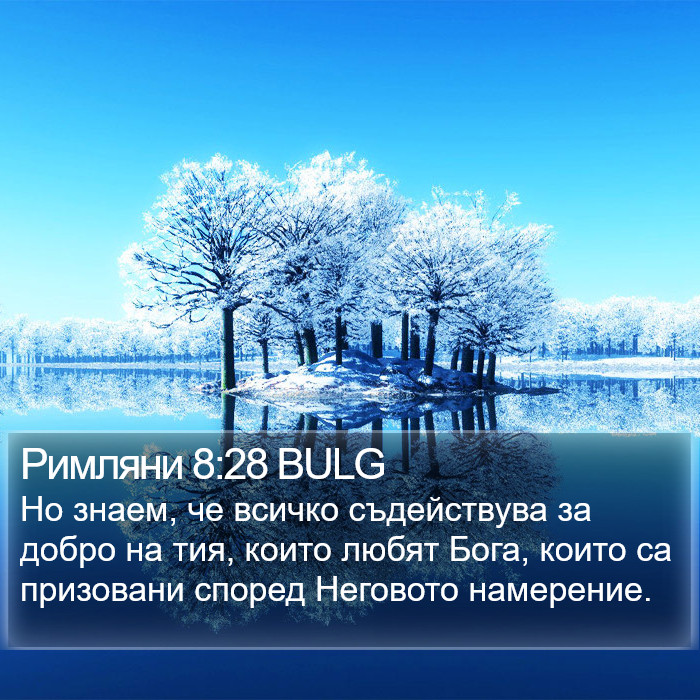 Римляни 8:28 BULG Bible Study