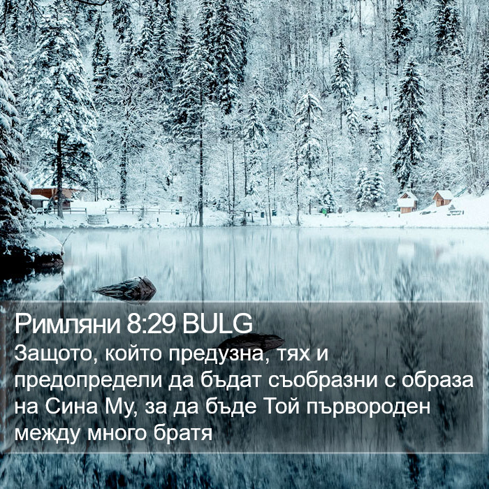 Римляни 8:29 BULG Bible Study