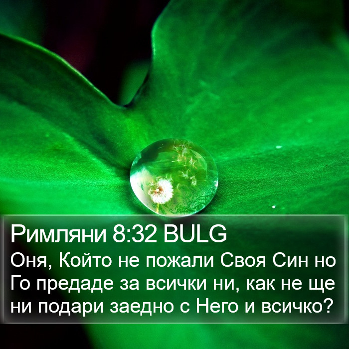 Римляни 8:32 BULG Bible Study