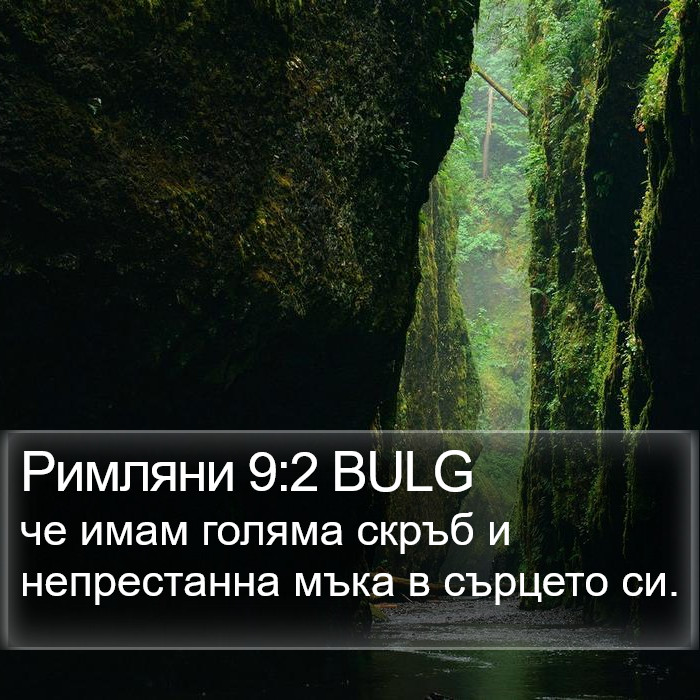 Римляни 9:2 BULG Bible Study