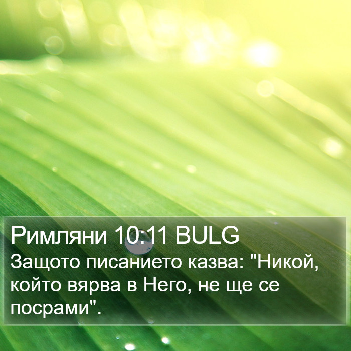 Римляни 10:11 BULG Bible Study
