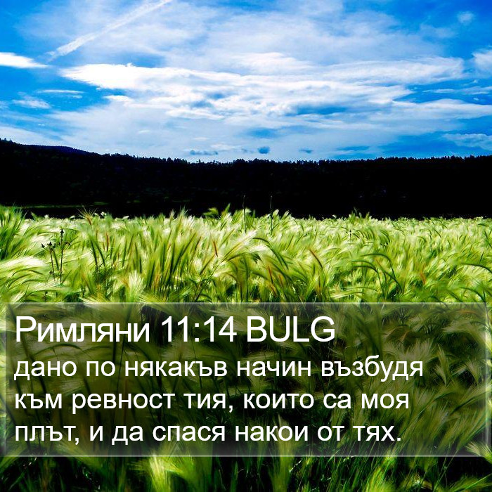 Римляни 11:14 BULG Bible Study