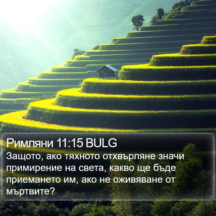 Римляни 11:15 BULG Bible Study