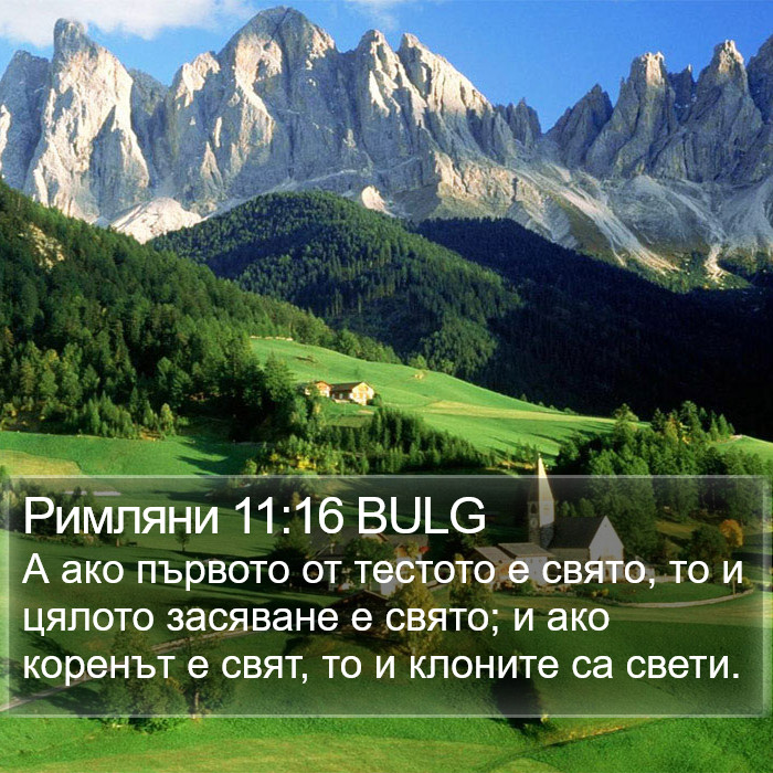 Римляни 11:16 BULG Bible Study