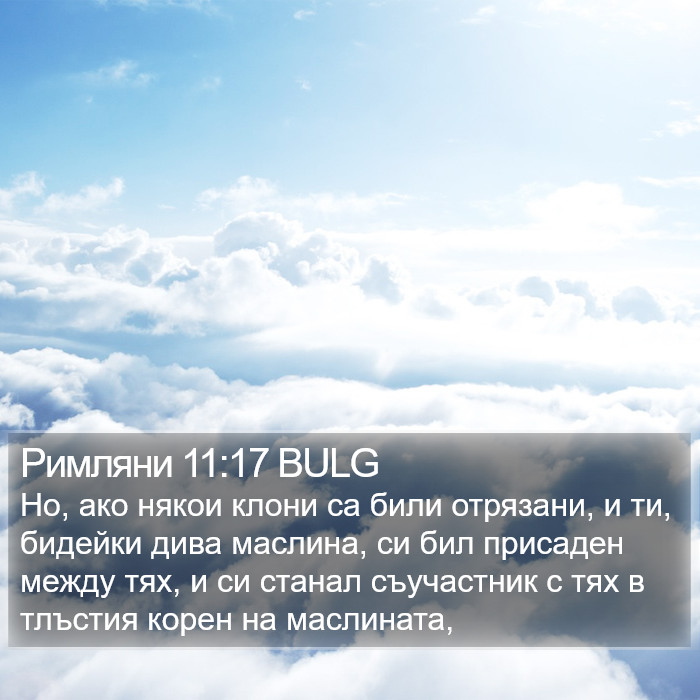 Римляни 11:17 BULG Bible Study