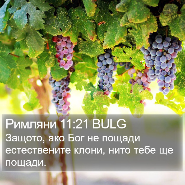 Римляни 11:21 BULG Bible Study