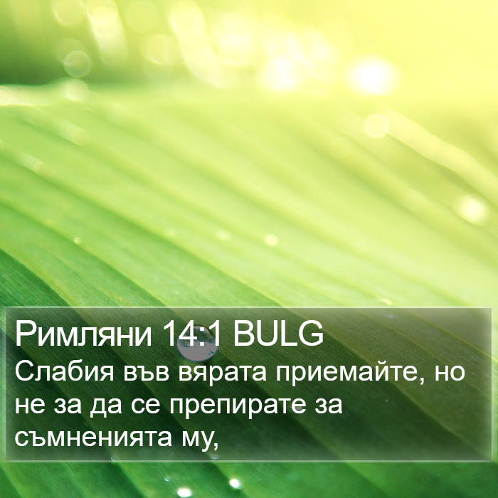 Римляни 14:1 BULG Bible Study