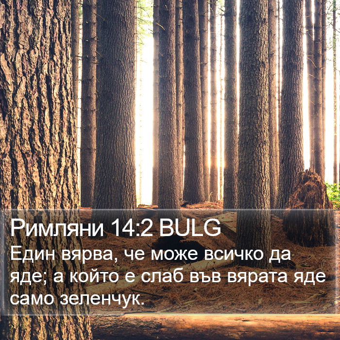 Римляни 14:2 BULG Bible Study