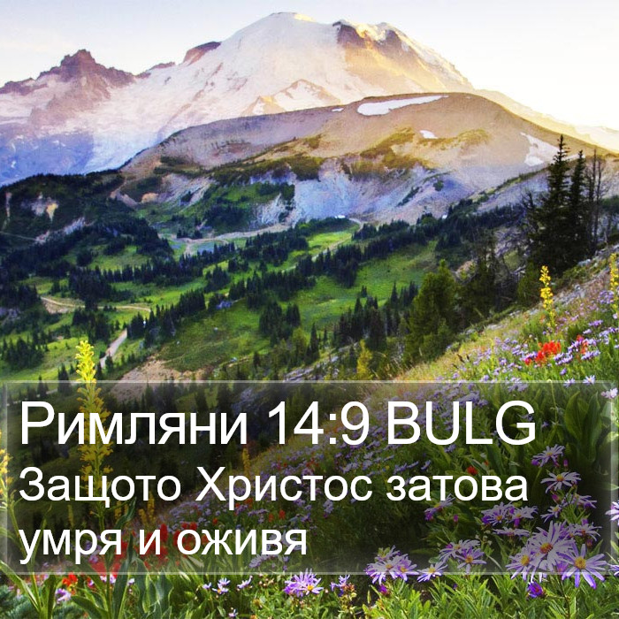 Римляни 14:9 BULG Bible Study