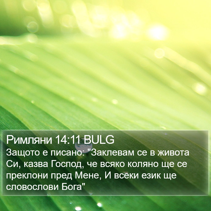 Римляни 14:11 BULG Bible Study