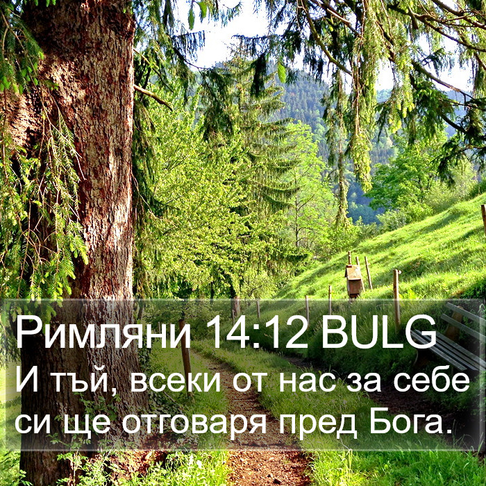 Римляни 14:12 BULG Bible Study