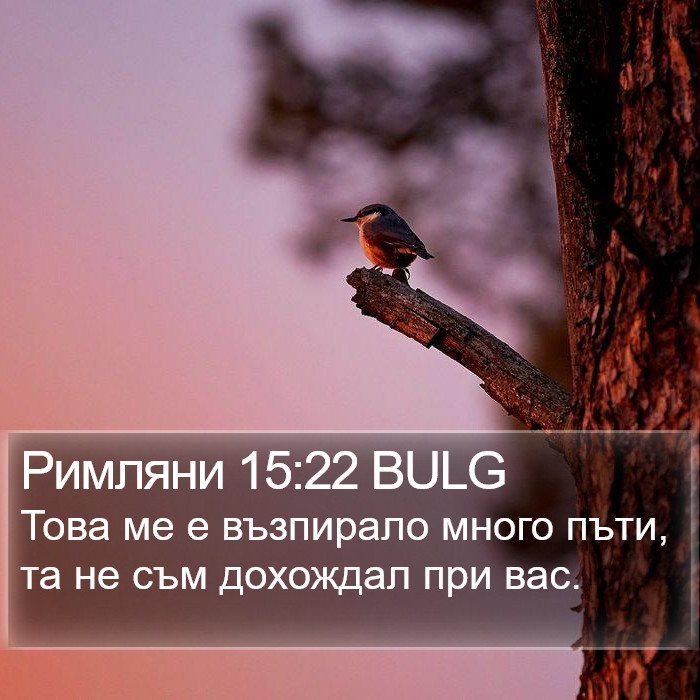 Римляни 15:22 BULG Bible Study