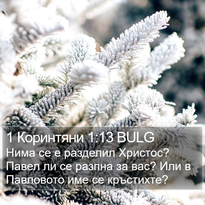 1 Коринтяни 1:13 BULG Bible Study