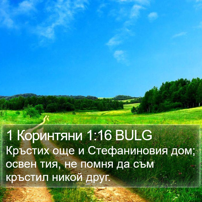 1 Коринтяни 1:16 BULG Bible Study