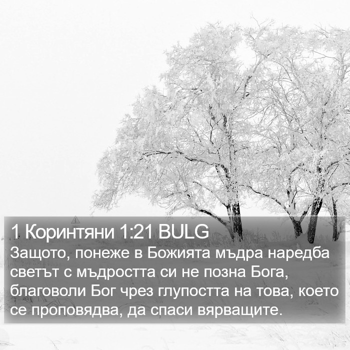 1 Коринтяни 1:21 BULG Bible Study