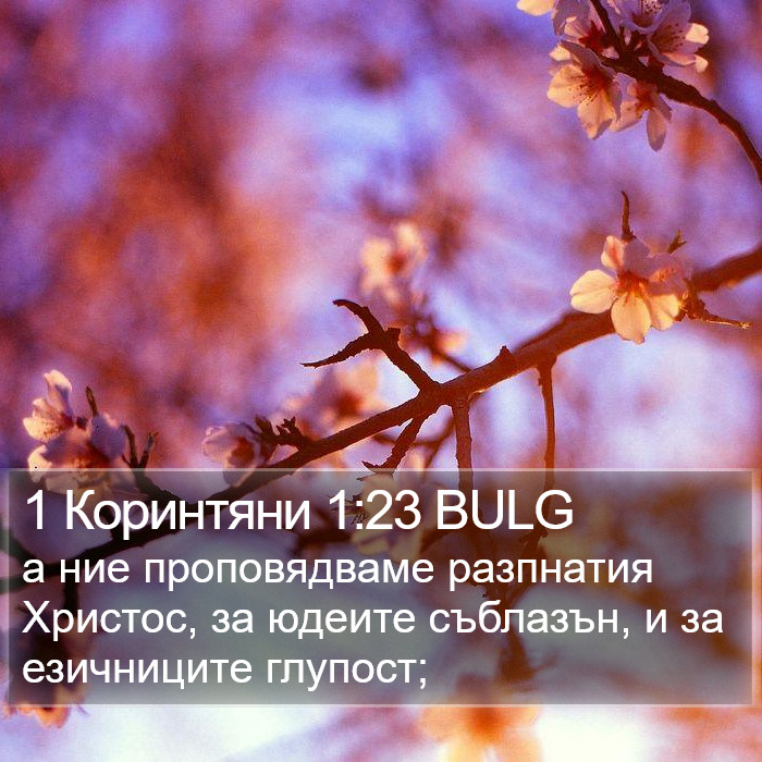 1 Коринтяни 1:23 BULG Bible Study