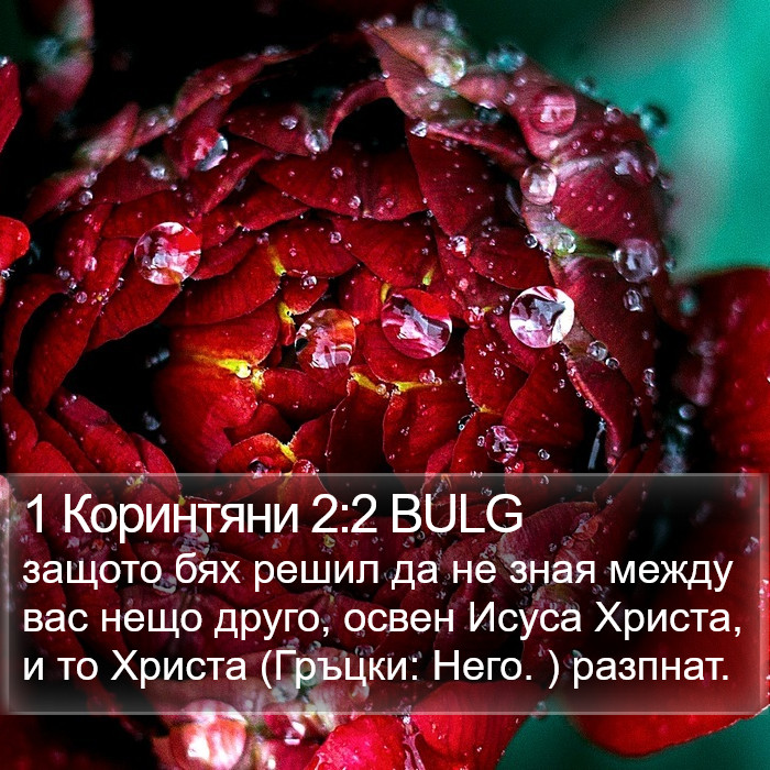 1 Коринтяни 2:2 BULG Bible Study