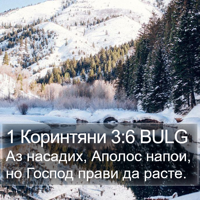 1 Коринтяни 3:6 BULG Bible Study