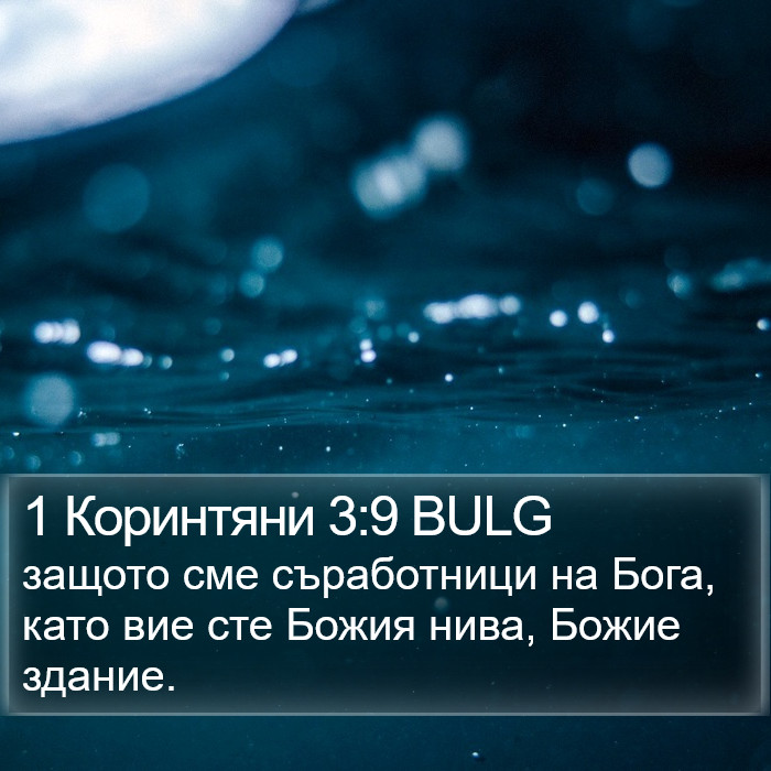 1 Коринтяни 3:9 BULG Bible Study