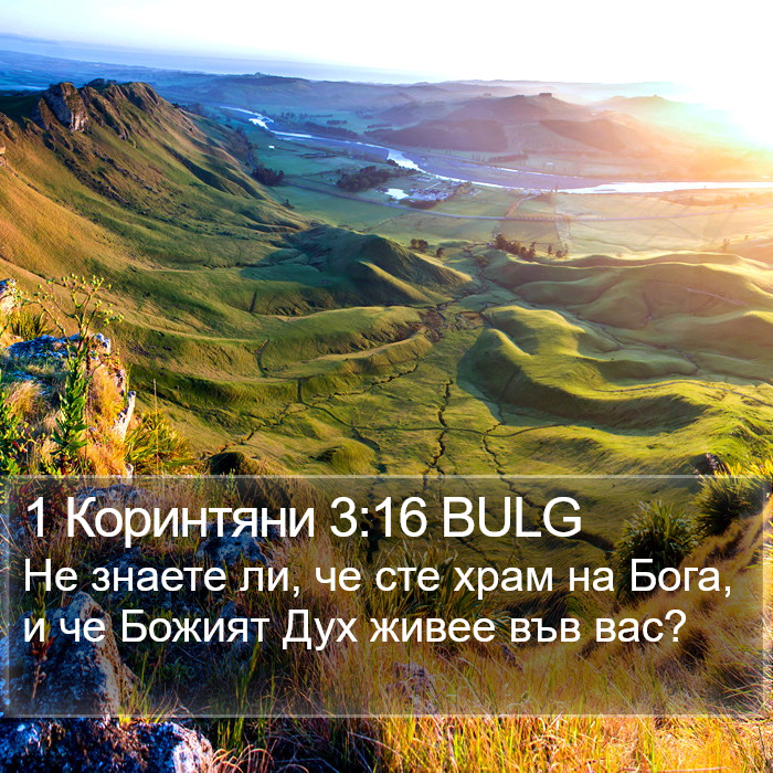 1 Коринтяни 3:16 BULG Bible Study